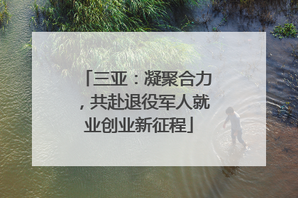 三亚：凝聚合力，共赴退役军人就业创业新征程